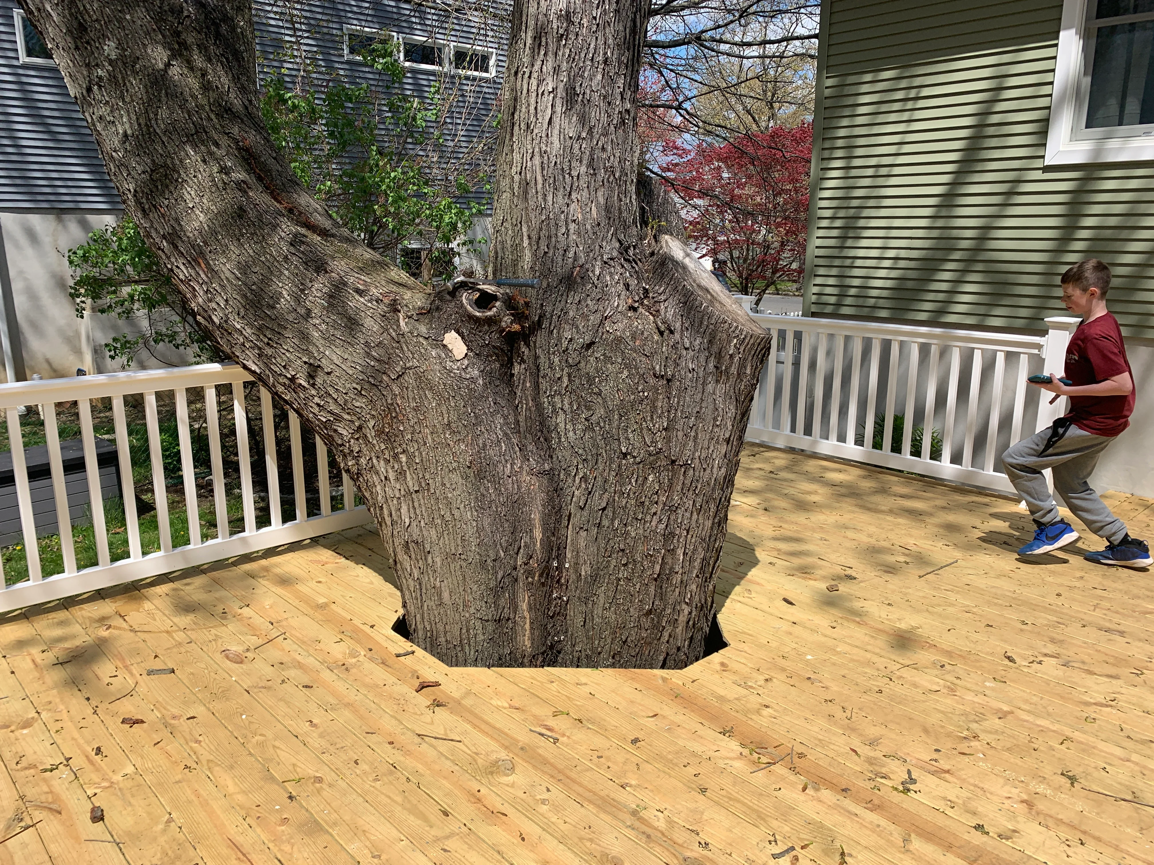 Pressure-treated wood deck with white vinyl railings built around mature tree trunk